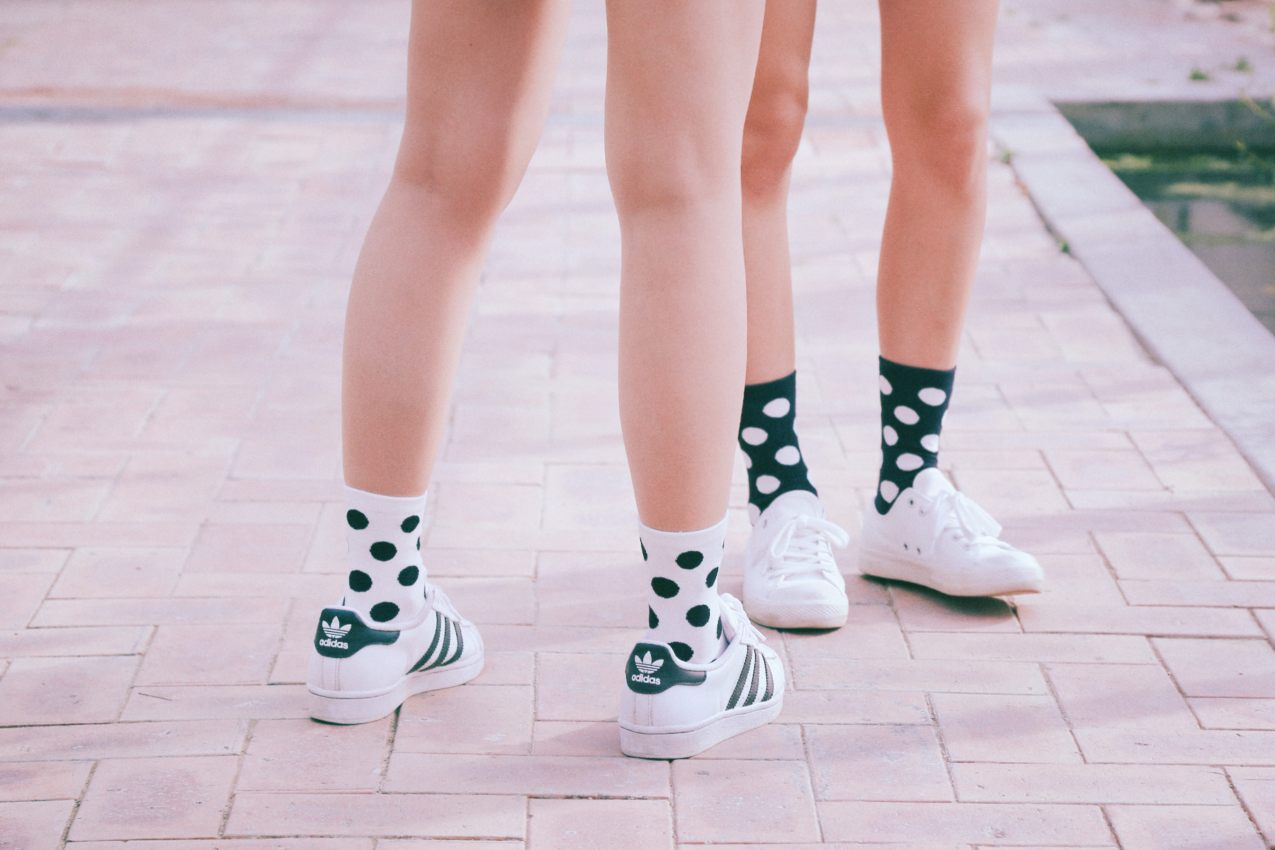 sockstaz 2016 summer lookbook socks