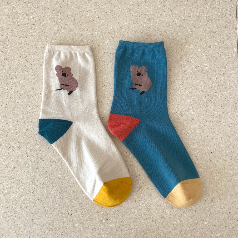 삭스타즈, sockstaz, socks